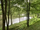Nature 1